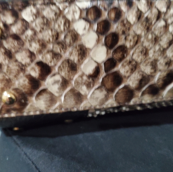 Genuine Python Dolce and Gabbana vitello corrida beige mini python clutch - Picture 9 of 16